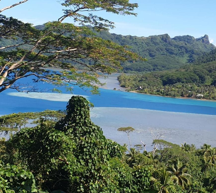 Huahine Manta Lodge Avec 4X4 Optionnel Haapu Exteriör bild