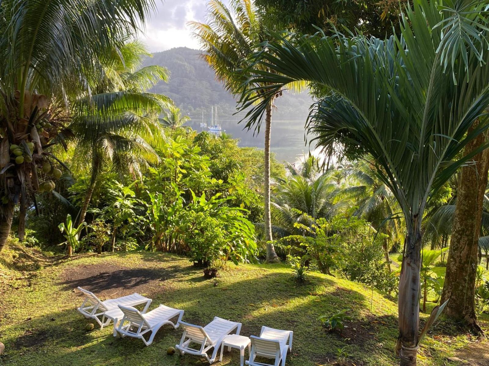Huahine Manta Lodge Avec 4X4 Optionnel Haapu Exteriör bild