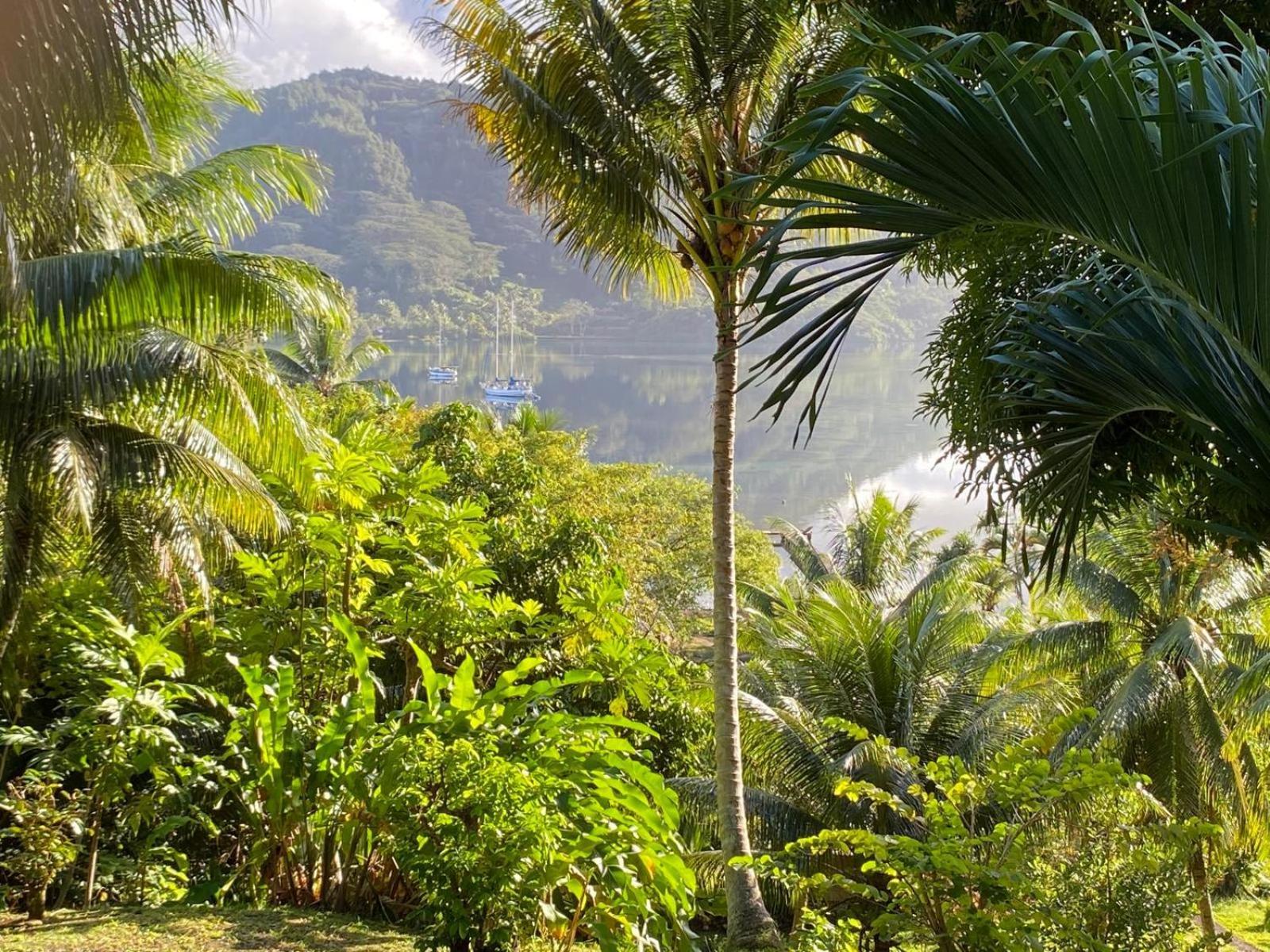 Huahine Manta Lodge Avec 4X4 Optionnel Haapu Exteriör bild