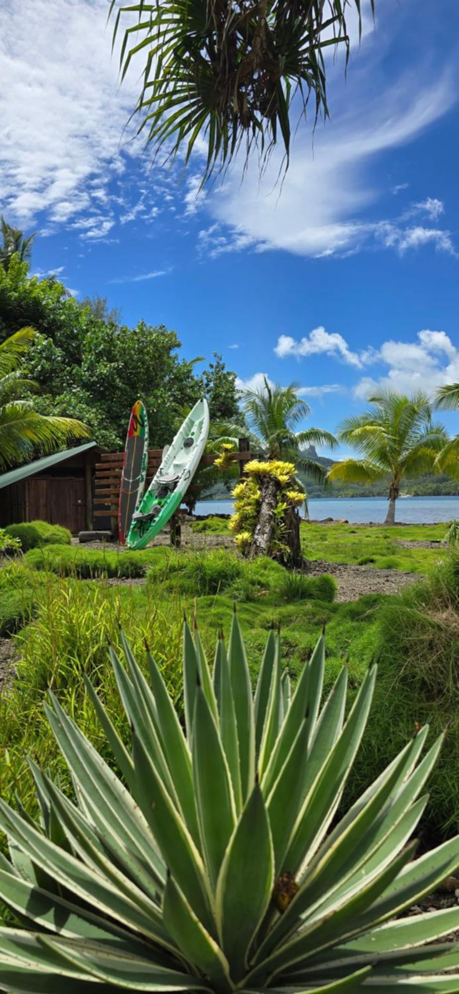 Huahine Manta Lodge Avec 4X4 Optionnel Haapu Exteriör bild